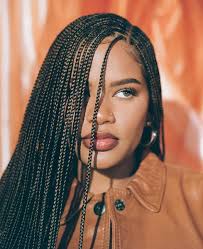 Add crimped texture to your micro braids to help create more visual interest. 50 Types Of Braids Hairstyles To Try In 2020 Hairdo Hairstyle