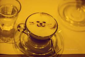 Luna Martinez on Twitter: "Café de gatos. Punta del Este. Maldonado.  Uruguay https://t.co/3iXHREYISq" / Twitter