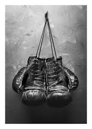 The t3 boxing gloves are boxers' favorite pair sold by hayabusa. Kaufen Boxing Gloves Poster Online Dearsam De
