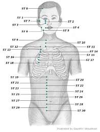 acupressure points chart