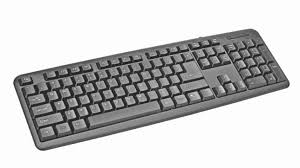 Not only are they more accurate. A Day In The Life Of A Keyboard The Daily Star