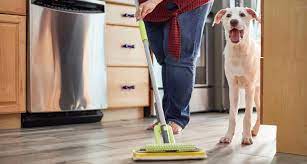 What's the best way to train a puppy? How To Potty Train A Dog In 7 Days Bechewy