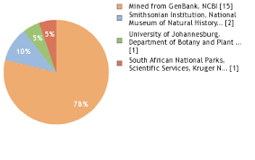 Image result for Trichoneura schlechteri