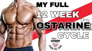 Don't get caught up in the lgd vs. Full 12 Week Ostarine Cycle Side Effects Dosage Mk2866 Enobosarm Youtube