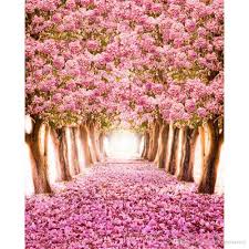 Download flowers background stock photos. 2021 Pink Cherry Blossoms Backgrounds For Photo Studio Petals Covered Road Children Kids Flower Background Vinyl Floral Photography Backdrop From Backdropsfactory 15 81 Dhgate Com
