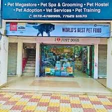 Pet stores pet food birds & bird supplies. Top 100 Pet Shops In Chandigarh Best Pet Store Suppliers Justdial