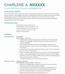 Ticket Agent Resume Example Travel And Tourism Resumes Livecareer