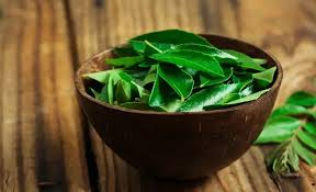 Daun kari adalah daun yang selalu digunakan dalam masakan. Minum Rebusan Daun Kari Ternyata Khasiatnya Mencengangkan G