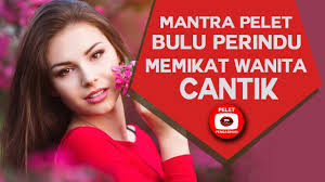 Minyak bulu perindu diproses sedemikian rupa sehingga sangat praktis digunakan oleh siapapun. Mantra Bulu Perindu Untuk Memikat Wanita Bikin Tergila Gila