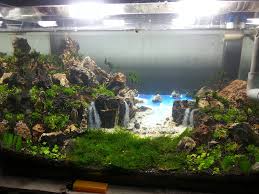 Find many great new & used options and get the best deals for aqua terrarium planting tank with aquarium for fish, waterfall, led medium at the best online prices at ebay! Aquascaping Waterfalls