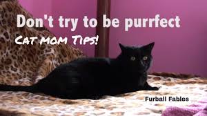 Check spelling or type a new query. Happy Mother S Day From The Cats Furball Fables Youtube