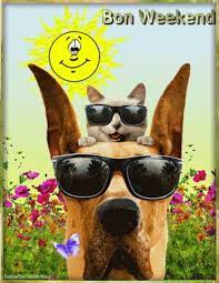 Nous vous souhaitons un très bon weekend ensoleillé ! </div></body></html>