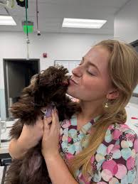 Hi there! You may have seen a post from me before. I am an experienced Vet  Tech with nearly 3 years of experience and offer convenient in-home pet  services for the Polk,