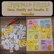 Check spelling or type a new query. Plant And Animal Cells Organelle Puzzle Distance Learning Tpt