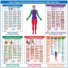 Head And Neck Trigger Point Chart