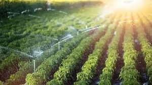 Benefits Of Our Irrigation Product