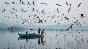 Gangga negara , malay yıllıkları'nda bahsedilen kayıp bir yarı efsanevi hindu krallığı olduğuna inanılıyor , perak eyaletinde beruas , dinding ve manjung , malezya raja gangga shah johan, krallarından biri olarak. Bau Mayat Menyebar Dari Sungai Gangga India Kerahkan Pasukan Asiatoday Id