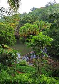 National Tropical Botanical Garden National Tropical Botanical Garden