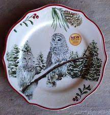 Better Homes And Gardens Plates Ebay Christmas Dinnerware Christmas Plates Garden Christmas