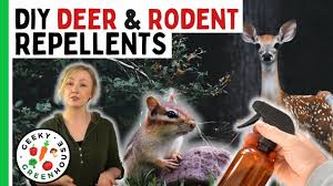 Bobbex 48 Oz. Bobbex-R Animal Repellent E-Z Pump Ready-To-Use Spray B550190  - The Home Depot