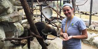 Future zoo veterinarians need a doctor of veterinary medicine (d.v.m. Zoo And Wildlife Career Faqs Smithsonian S National Zoo