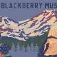 Mt. Shasta Blackberry Festival