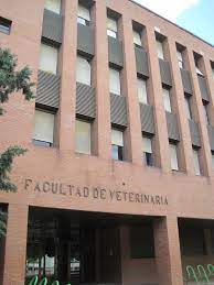 Check spelling or type a new query. Category Facultad De Veterinaria Universidad De Leon Wikimedia Commons