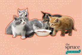 This cat food will keep your pet's health and weight in check. The 6 Best Wet Foods For Your Kitten In 2021