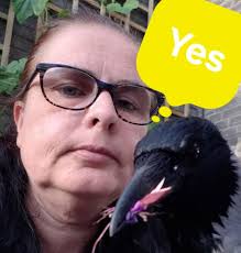 Are other planets flat if the earth is flat?