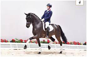Jul 01, 2021 · read the full report from the winter dressage championships in the 8 july 2021 issue of horse & hound magazine, and keep checking back to horseandhound.co.uk for more news and features you might. Ihre Chance Vechtas Charmante Tanzer Reitturniere De News Ergebnisse Turnierkalender Ranglisten