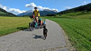 Radtouren Mit Hund Gut Geplant Mit Bayern Radtour
