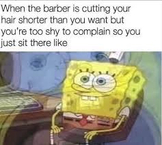 Make quarantined and styling your own hair memes or upload the fastest meme generator on the planet. These Haircut Memes Will Convince You To Just Grows Yours Out And Let It Ride The Good Old Days Memes