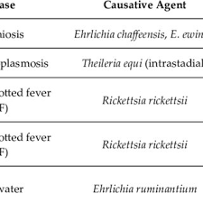 Check out their leagues and tournaments and visit their website for their numerous specials. Pdf Plant Derived Natural Compounds For Tick Pest Control In Livestock And Wildlife Pragmatism Or Utopia