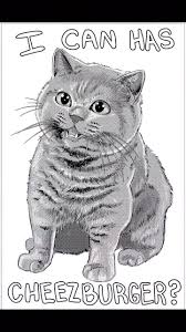 Image result for i can has cheezburger