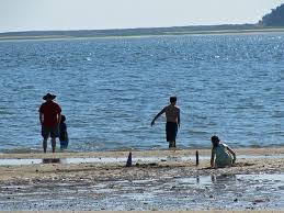 family grouping at mid tide picture of indian neck beach