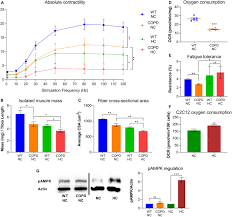 Semantic scholar profile for s. Frontiers Hypercapnia Driven Skeletal Muscle Dysfunction In An Animal Model Of Pulmonary Emphysema Suggests A Complex Phenotype Physiology