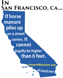 Here are the key points california. Crazy Laws Local State And Federal Lawyer In Blue Jeans