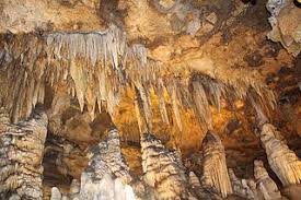 Biogenic sediments and sedimentary rocks. Chemical Sedimentary Rock Definition Examples Study Com