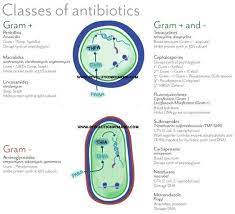Antibiotics Pharmd Mnemonic Revolution Pharmd Nurse Pharmacology Nursing Nursing School