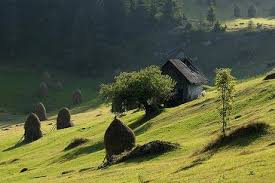 In muntii trascau natura se evidentiaza prin formantiuni calcaroase pe versantul sudic al muntilor bedeleu, unde nu trebuie sa ratati pestera huda lui papara si pe cea a zmeilor, dar nici peisajele de o frumusete desavarsita de la cheile ponorului. Parcul Natural Apuseni Informatii Si Atractii Turistice Holiday