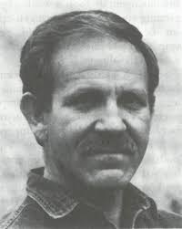 Norman Silver, Lexicon van de jeugdliteratuur, Jan van Coillie, Wilma van  der Pennen, Jos Staal, Herman Tromp