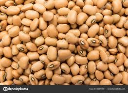 Image result for Vigna unguiculata