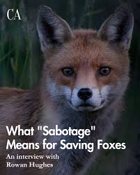 END FOX HUNTING NOW!