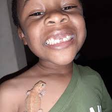 Charmander is a funny one 🤣 ❤️