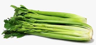 Celery Png Images Png Cliparts Free Download On Seekpng