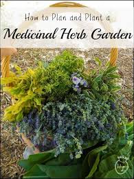 Plan Which Herbs To Grow This Year Medicinal Herbs Garden Plants Medicinal Herbs