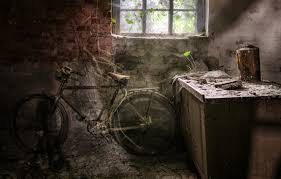 We did not find results for: Wallpaper Bike Background The Basement Images For Desktop Section Interer Download