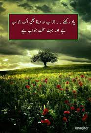 Pin By Haziqa Zaheer On Islamic Posts Sayings And Poetry Physical Science Urdu Quotes Physics