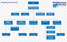 Critical review on nestle organisational structure. Nestle Organizational Structure Design