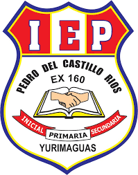 IEP Pedro Del Castillo Rios EX 160 PRIMARIA